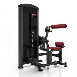 2-in-1 Abdominal / Back Extension U220 JTC X-Line