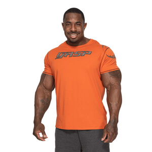 GASP Pro Logo Tee flame Better Bodies