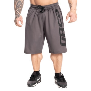 Pro Mesh Shorts grey GASP