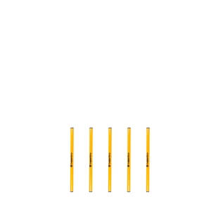 Slalompinne 50 cm, 5-pack, inSPORTline