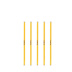 Slalompinne 100 cm, 5-pack, inSPORTline