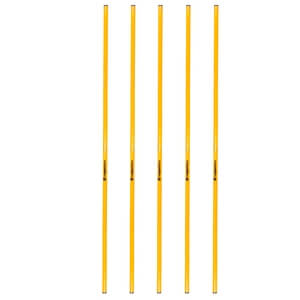 Slalompinne 160 cm, 5-pack, inSPORTline