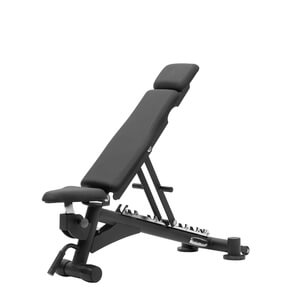 Master Fitness Royal Bench F-I-D Master