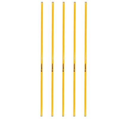Slalompinne 160 cm, 5-pack, inSPORTline
