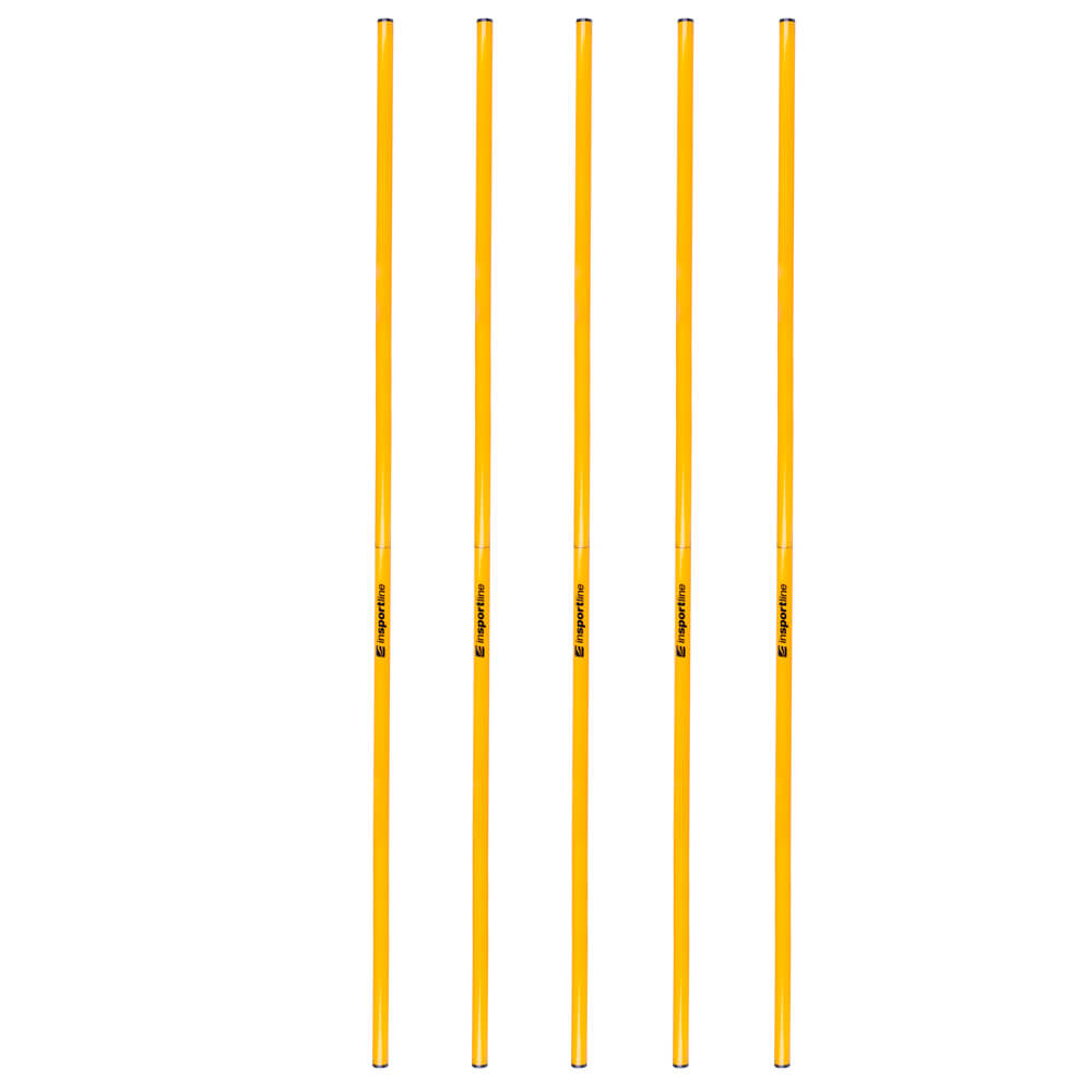 Slalompinne 160 cm, 5-pack, inSPORTline