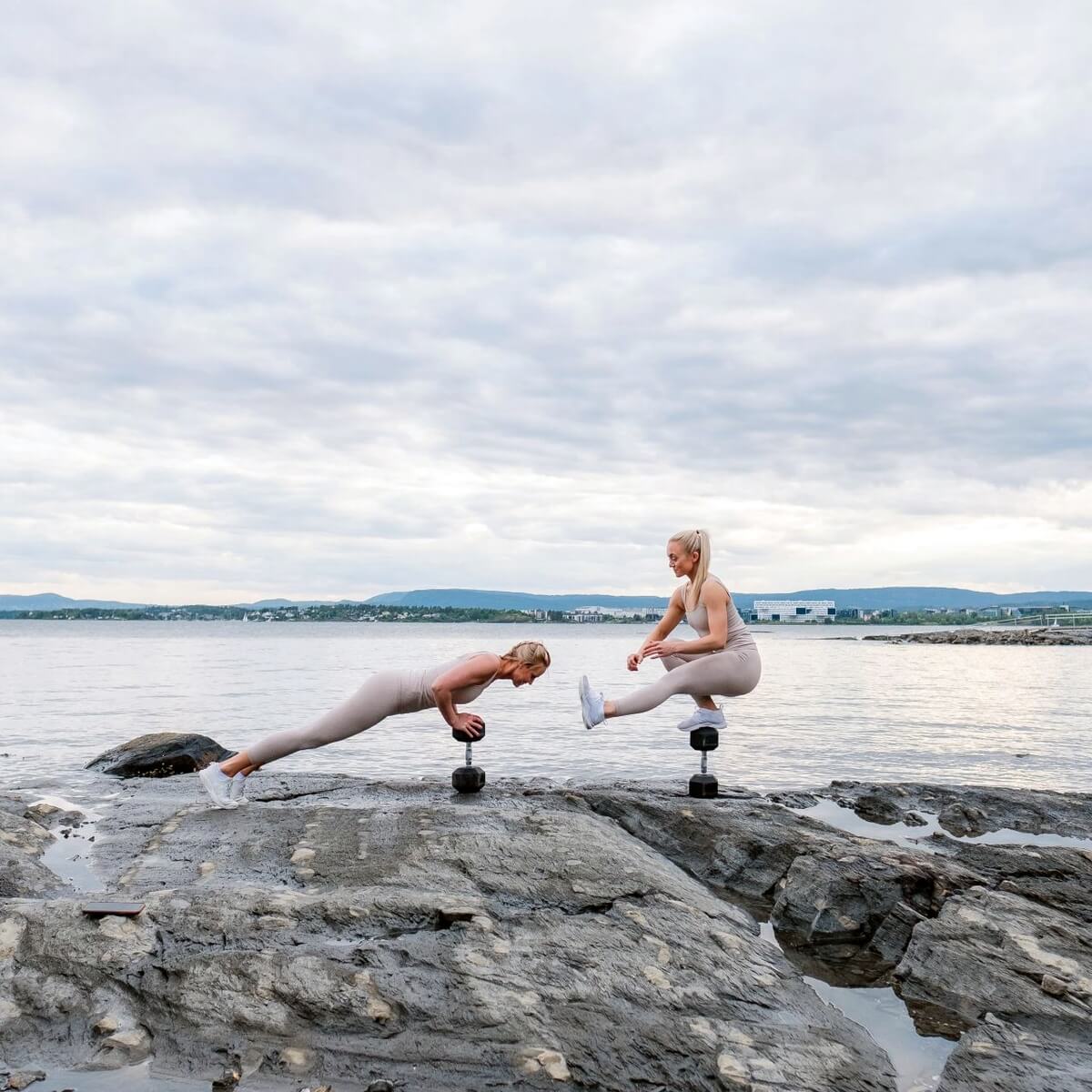 Alternativ bild 1 för Abilica Hex Dumbbell, Hexhantel