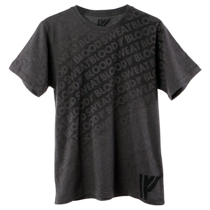 BSB Reactive S/S Tee, charcoal, Iron Fist