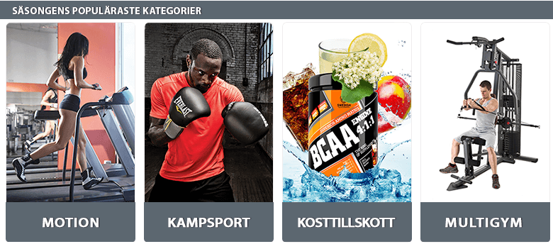 Populäraste kategorierna