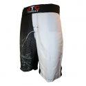 Fight Spirit MMA Shorts, JTC Combat