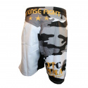 Intense Fight MMA Shorts, JTC Combat