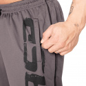 Pro Mesh Shorts, grey, GASP