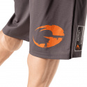 Pro Mesh Shorts, grey, GASP