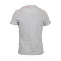 Utah V-Neck Tee, grey, Gorilla Wear