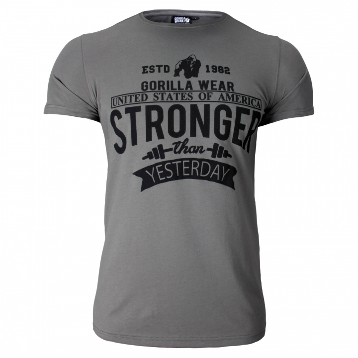 Kolla in Hobbs T-Shirt, grey, Gorilla Wear hos SportGymButiken.se