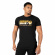 Köp Classic T-Shirt, black/gold, Gorilla Wear hos SportGymButiken.se
