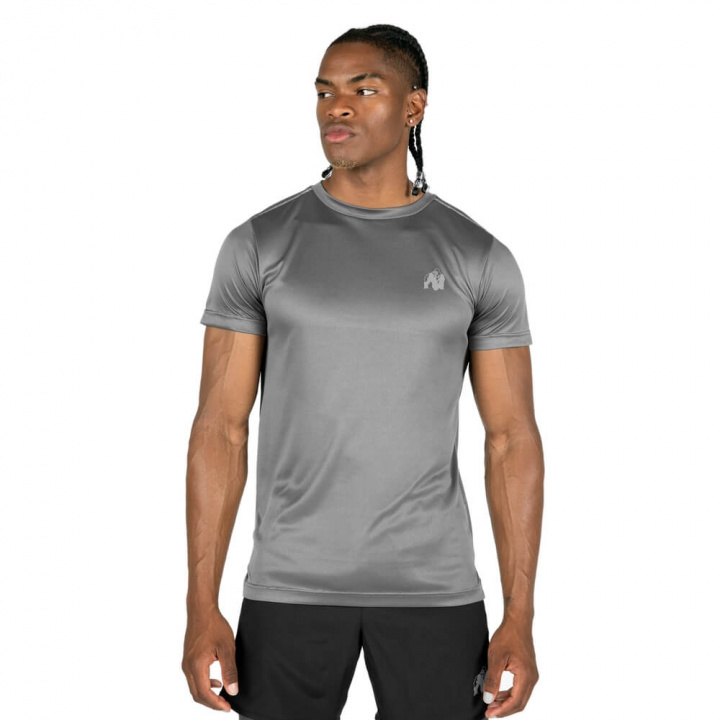 Washington T-Shirt, grey, Gorilla Wear i gruppen Herrkläder / Överdelar / Funktions-t-shirt hos Sportgymbutiken.se (GW-90572-800r)
