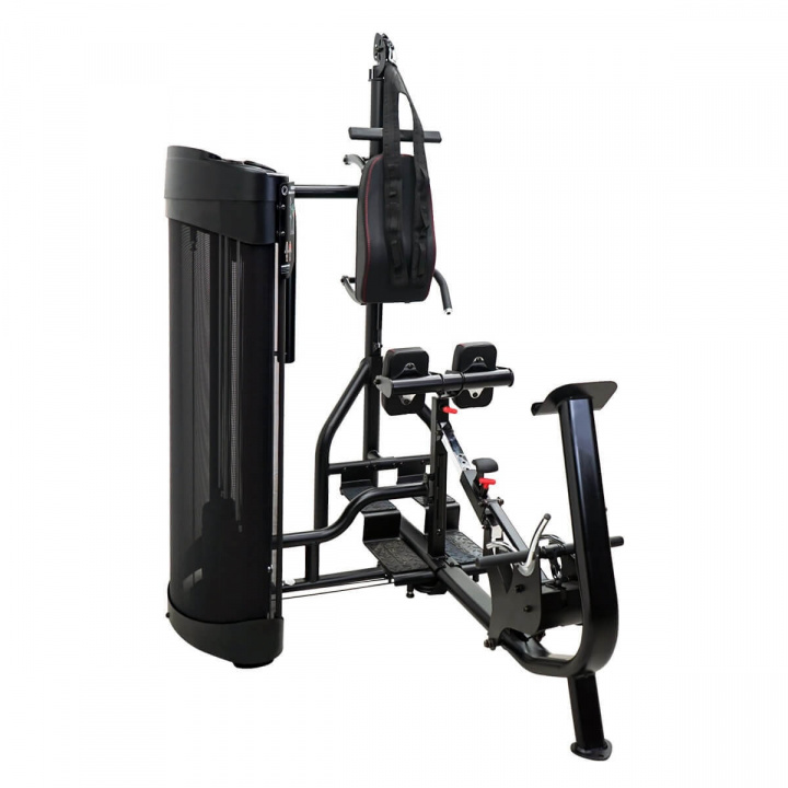 Dual Station Ab/Back, Finnlo Maximum i gruppen Styrka / Multigym & hemgym / Flerstationsgym hos Sportgymbutiken.se (HM-3584)