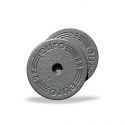 Viktskivor Metall 25 mm, 2 x 2.5 kg, Eurosport