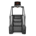 Stairmaster Pro