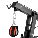 ProfiGym C75, inSPORTline