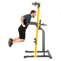 Power Tower Pull-Up Station PT250, inSPORTline