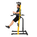 Power Tower Pull-Up Station PT250, inSPORTline