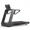 Löpband, Treadmill Gardian G10, inSPORTline