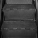 Trappmaskin Climber 2000