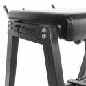 Reverse Hyperextension, Thor Fitness
