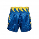 Thai Shorts, blue/yellow, Fighter