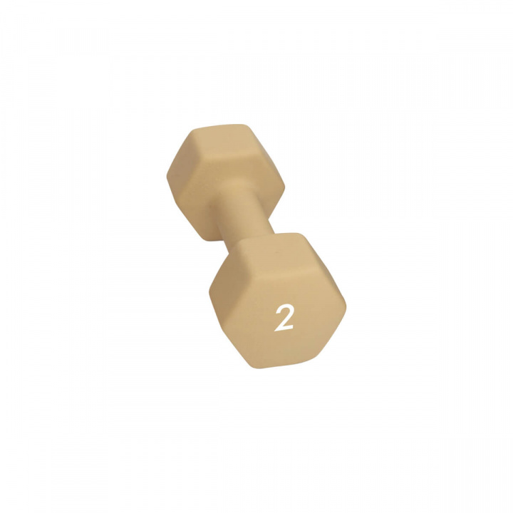 Abilica Hex Neoprene Dumbbell, 2 kg i gruppen Styrka / Hantlar & Kettlebells / Hantlar hos Sportgymbutiken.se (SU-374276)