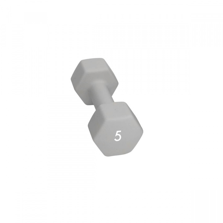 Abilica Hex Neoprene Dumbbell, 5 kg i gruppen Styrka / Hantlar & Kettlebells / Hantlar hos Sportgymbutiken.se (SU-374279)