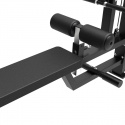 Dual Lat Pulldown/Low row Platinum