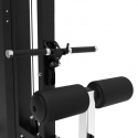 Dual Lat Pulldown/Low row Platinum