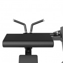 Bicep Curl Platinum