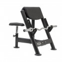 Royal Preachers Curl Bench, Master